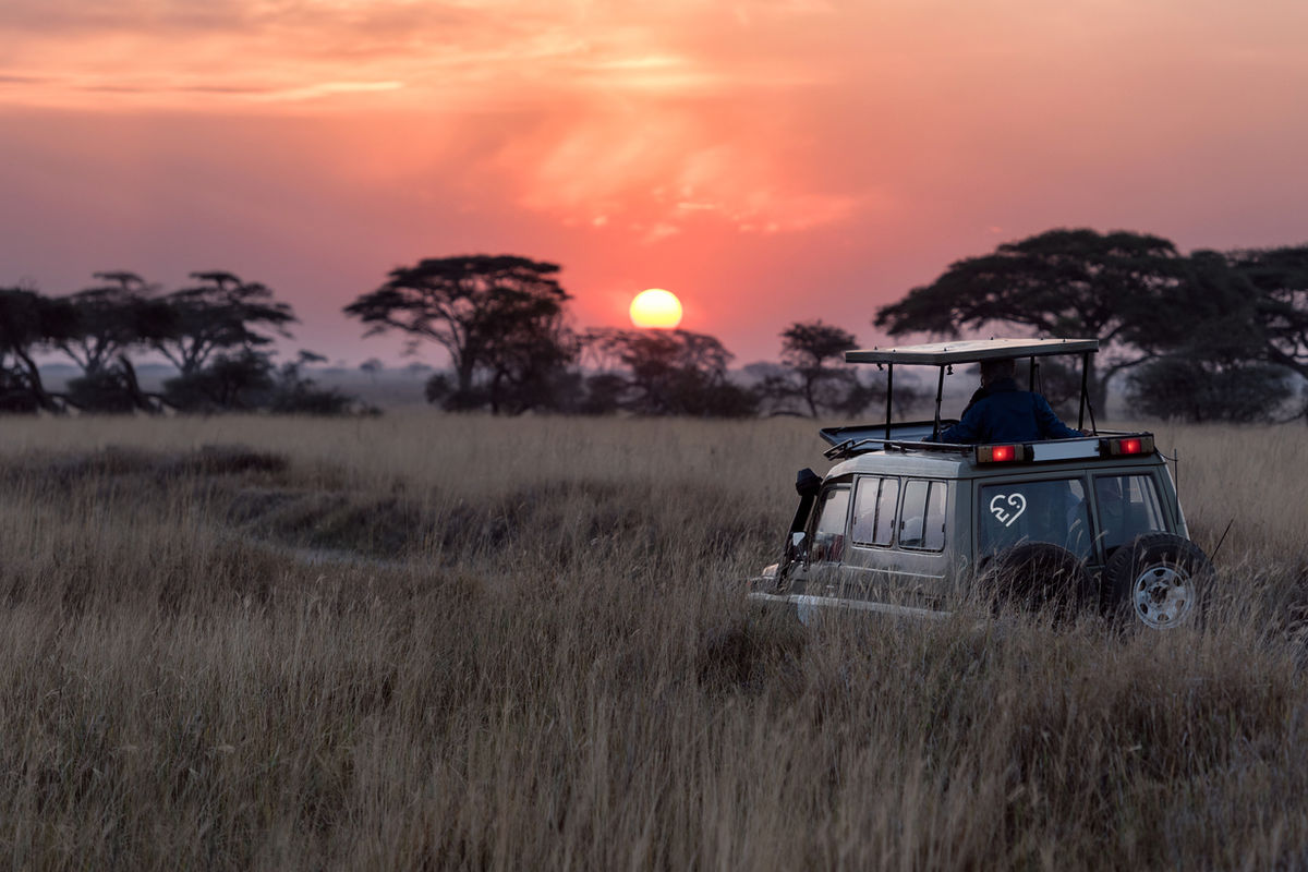Safari-jeep door hoog gras bij zonsondergang
